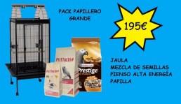 PACK PAPILLERO GRANDE5